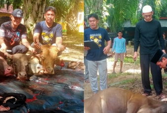 Giat Rutin Tahunan, SMKN 1 Tambusai Laksanakan Qurban 1447 H