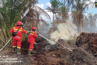 Manggala Agni Terus Padamkan Karhutla di Rohil dan Siak, Cuaca Panas Jadi Kendala