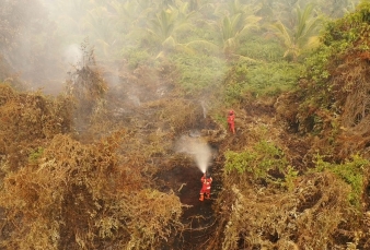 Hari Pertama Pemadaman, Tim Manggala Agni Tangani Karhutla Seluas 60 Hektare di Sokoi