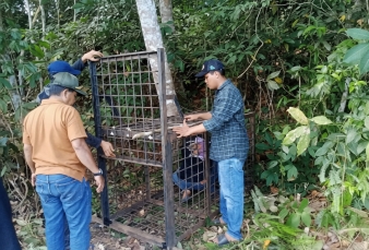 Beruang Madu Muncul di Permukiman Warga Kerumutan, BBKSDA Riau Pasang Kandang Jebak