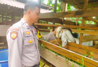 Brigadir Prengki Sambangi Peternak Pancur, Polri Hadir Menjaga Ketahanan Pangan dari Hulu