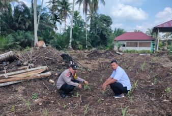 Dukung Program Asta Cita, Bhabinkamtibmas Polsek Keritang Pantau Progres Lahan Jagung di Desa Lintas Utara