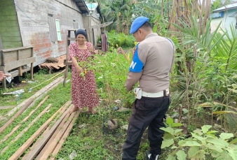 Polsek Enok Sinergi dengan Warga Jl Veteran, Kawal Ketahanan Pangan dari Sayur hingga Serai