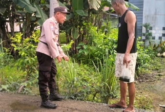 Jadi Sahabat Petani, Polsek Enok Dorong Warga Enok Rawat Cabe Rawit dan Serai Secara Rutin