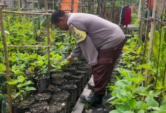 Dukung Swasembada Pangan, Kapolsek Keritang Lewat Bhabinkamtibmas Sambangi Petani Sayur di Pengalihan