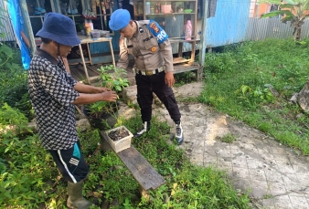 Dari Pekarangan ke Pangan, Warga Enok Rawat Cabai dan Serai Bersama Polsek