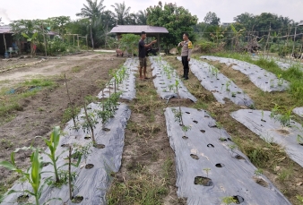 Bhabinkamtibmas Desa Sencalang Sambangi Lahan Kacang Panjang Warga dalam Mendukung Ketahanan Pangan