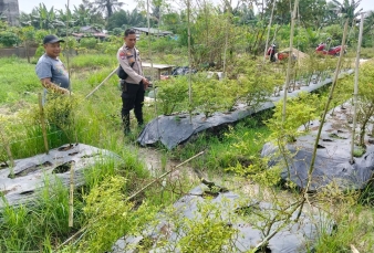news_1781940536.jpg