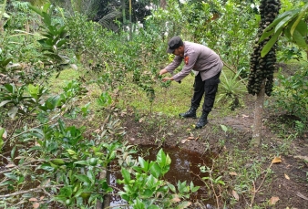 news_1785607687.jpg